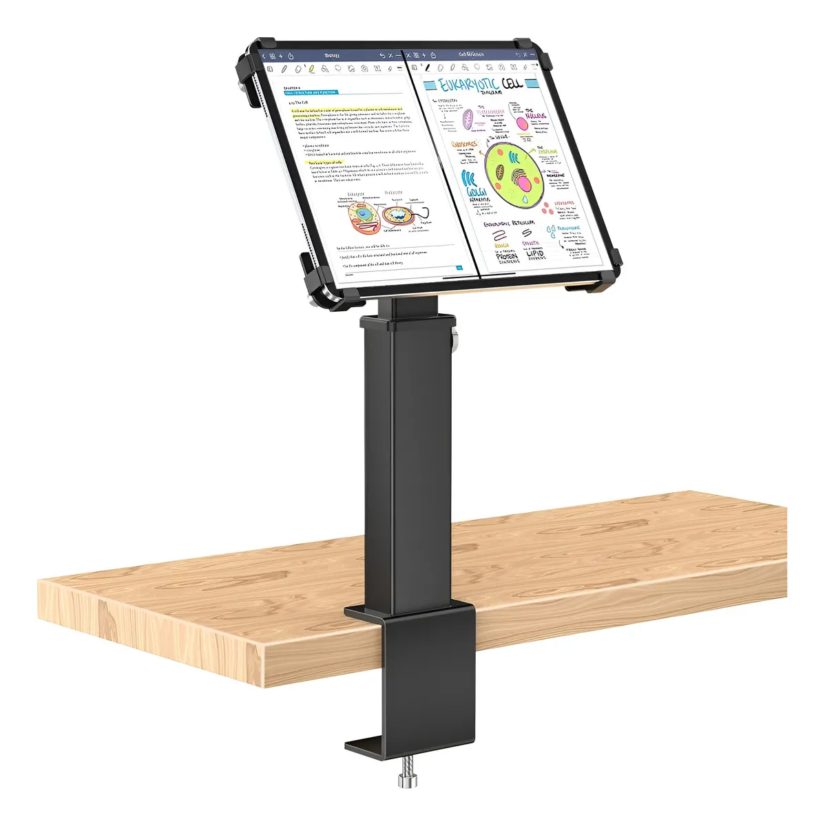Soporte de Mesa Ajustable